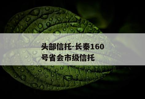 头部信托-长秦160号省会市级信托