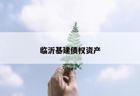 临沂基建债权资产