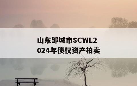 山东邹城市SCWL2024年债权资产拍卖