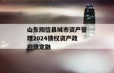山东阳信县城市资产管理2024债权资产政府债定融