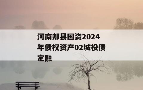 河南郏县国资2024年债权资产02城投债定融
