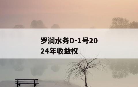 罗润水务D-1号2024年收益权