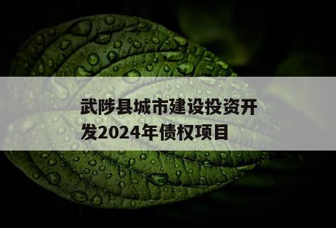 武陟县城市建设投资开发2024年债权项目