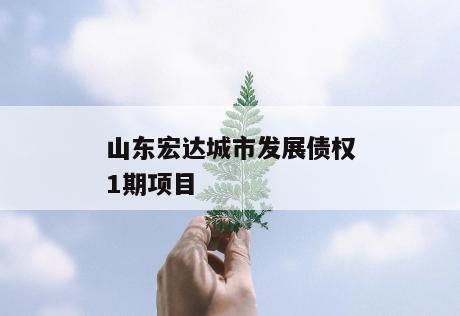 山东宏达城市发展债权1期项目