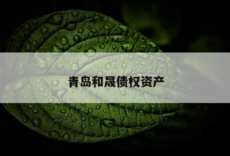 青岛和晟债权资产