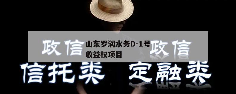 山东罗润水务D-1号收益权项目